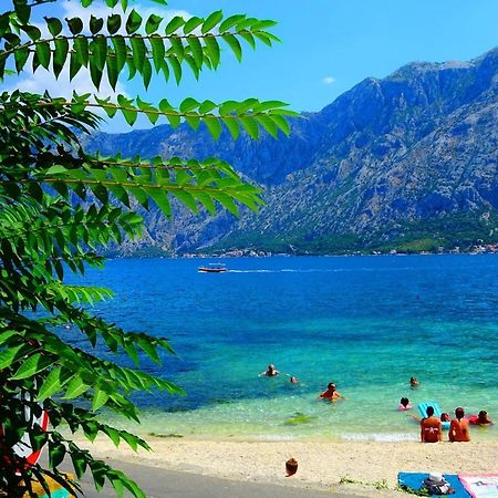 Bay Of Kotor View Apartment With Pool Prcanj Bagian luar foto