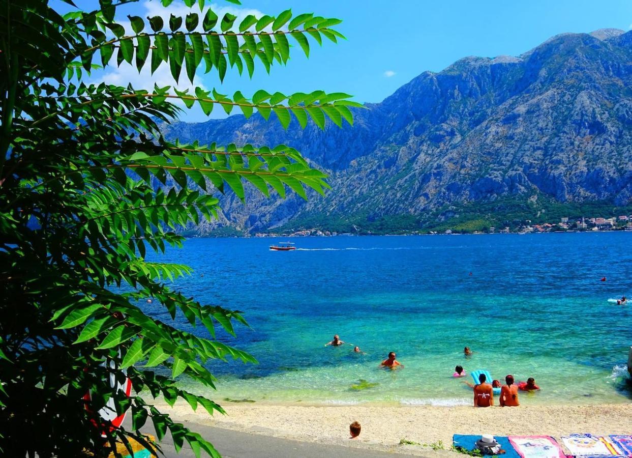 Bay Of Kotor View Apartment With Pool Prcanj Bagian luar foto