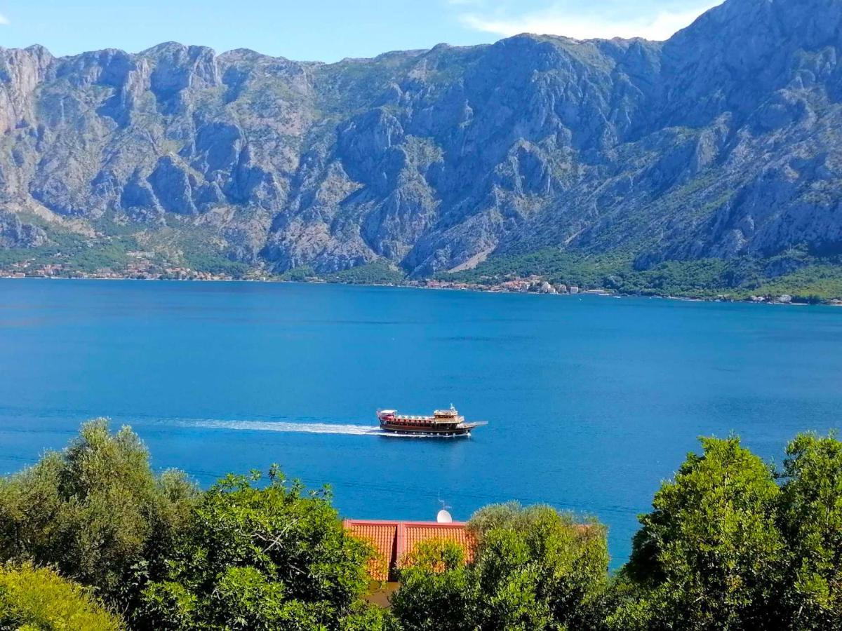 Bay Of Kotor View Apartment With Pool Prcanj Bagian luar foto